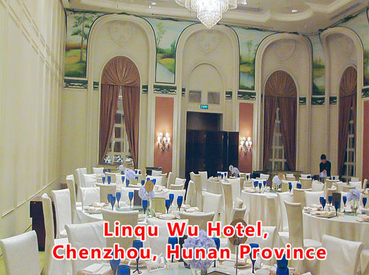 Un bon prix. Aluminum Wooden Movable Partition Wall with 304 Stainless Steel Rollers and 6061-T6 Profile for Office Room en ligne